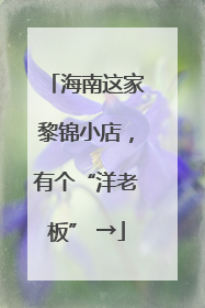 海南这家黎锦小店，有个“洋老板” →