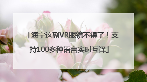海宁这副VR眼镜不得了！支持100多种语言实时互译