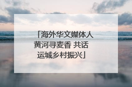 海外华文媒体人黄河寻麦香 共话运城乡村振兴
