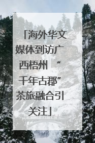 海外华文媒体到访广西梧州 “千年古郡”茶旅融合引关注