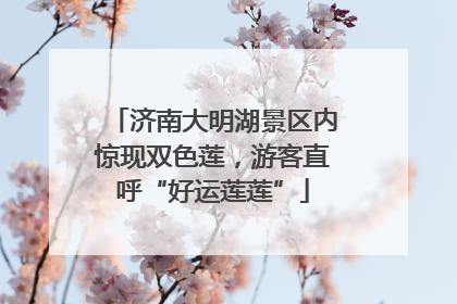 济南大明湖景区内惊现双色莲，游客直呼“好运莲莲”