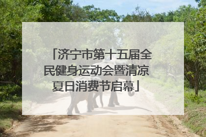 济宁市第十五届全民健身运动会暨清凉夏日消费节启幕