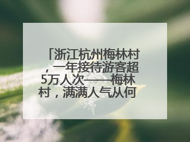 浙江杭州梅林村，一年接待游客超5万人次——梅林村，满满人气从何来（经济新方位·农村消费观察）