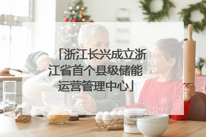 浙江长兴成立浙江省首个县级储能运营管理中心