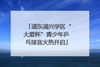 浦东浦兴学区“大爱杯”青少年乒乓球赛火热开启