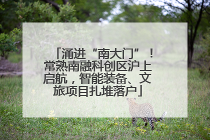 涌进“南大门”！常熟南融科创区沪上启航，智能装备、文旅项目扎堆落户