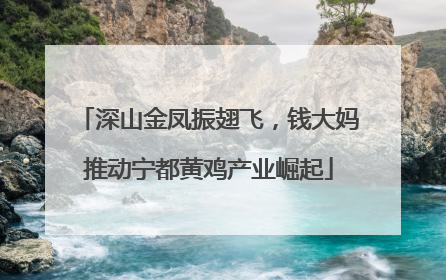 深山金凤振翅飞，钱大妈推动宁都黄鸡产业崛起