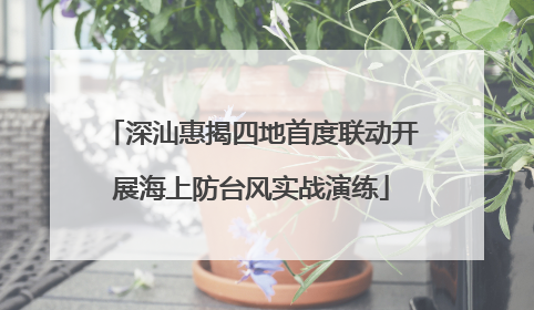 深汕惠揭四地首度联动开展海上防台风实战演练