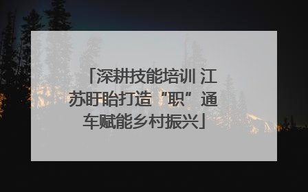 深耕技能培训 江苏盱眙打造“职”通车赋能乡村振兴