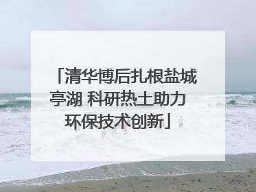 清华博后扎根盐城亭湖 科研热土助力环保技术创新