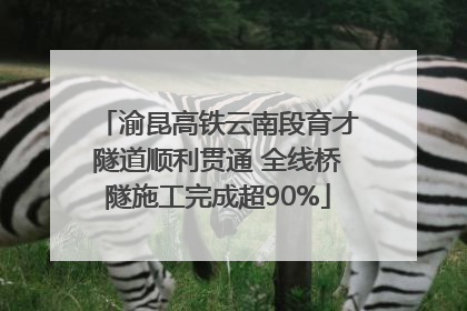 渝昆高铁云南段育才隧道顺利贯通 全线桥隧施工完成超90%