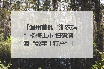 温州首批“浙农码”杨梅上市 扫码溯源“数字土特产”