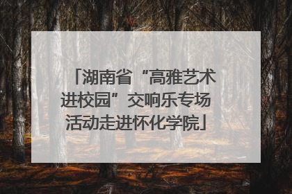 湖南省“高雅艺术进校园”交响乐专场活动走进怀化学院