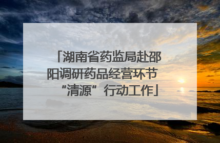湖南省药监局赴邵阳调研药品经营环节“清源”行动工作