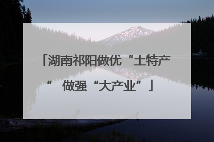 湖南祁阳做优“土特产” 做强“大产业”