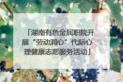 湖南有色金属职院开展“劳动润心”代际心理健康志愿服务活动