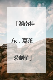湖南桂东：夏茶采制忙