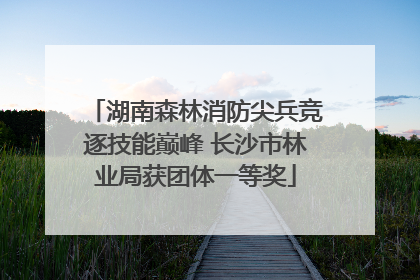 湖南森林消防尖兵竞逐技能巅峰 长沙市林业局获团体一等奖
