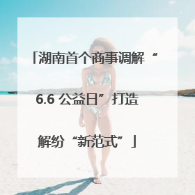 湖南首个商事调解“6.6 公益日”打造解纷“新范式”