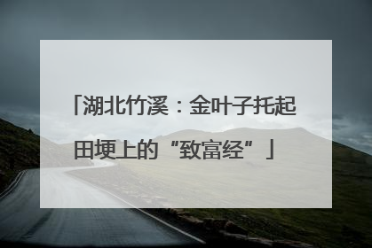 湖北竹溪：金叶子托起田埂上的“致富经”