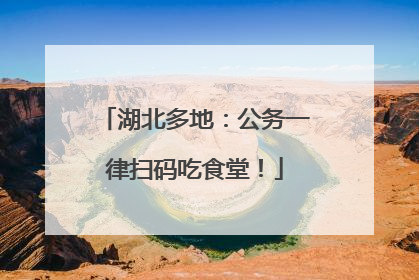 湖北多地：公务一律扫码吃食堂！