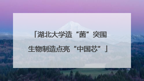 湖北大学造“菌”突围 生物制造点亮“中国芯”