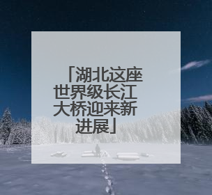 湖北这座世界级长江大桥迎来新进展