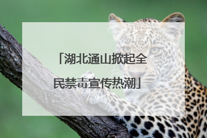 湖北通山掀起全民禁毒宣传热潮