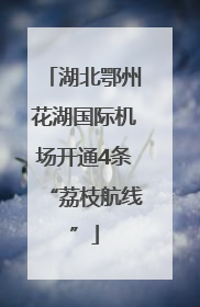 湖北鄂州花湖国际机场开通4条“荔枝航线”