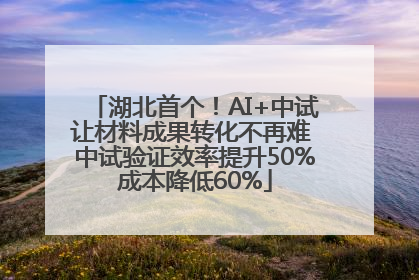 湖北首个！AI+中试让材料成果转化不再难 中试验证效率提升50%成本降低60%