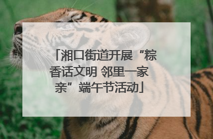 湘口街道开展“粽香话文明 邻里一家亲”端午节活动