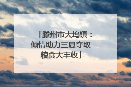 滕州市大坞镇：倾情助力三夏夺取粮食大丰收