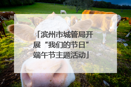 滨州市城管局开展“我们的节日”端午节主题活动