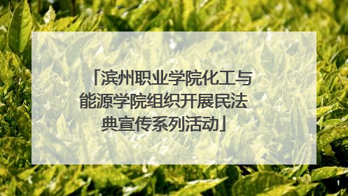 滨州职业学院化工与能源学院组织开展民法典宣传系列活动