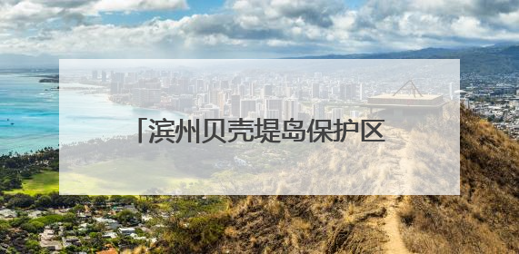 滨州贝壳堤岛保护区春季鸟类调查成果惊艳：多项纪录刷新，生态保护成效显著