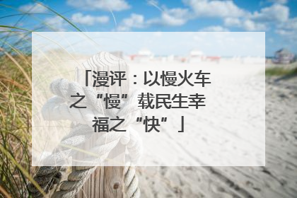 漫评：以慢火车之“慢”载民生幸福之“快”