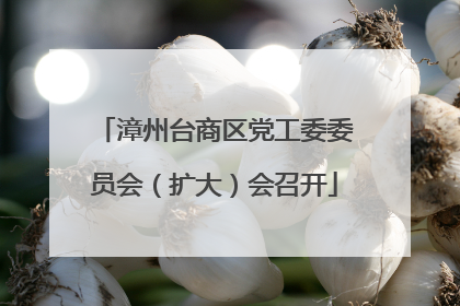 漳州台商区党工委委员会（扩大）会召开