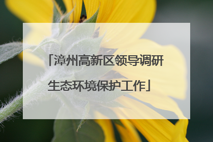 漳州高新区领导调研生态环境保护工作