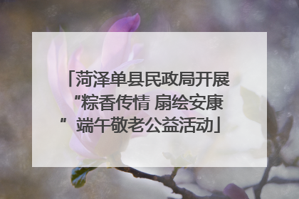 菏泽单县民政局开展“粽香传情 扇绘安康”端午敬老公益活动