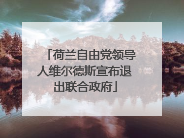 荷兰自由党领导人维尔德斯宣布退出联合政府