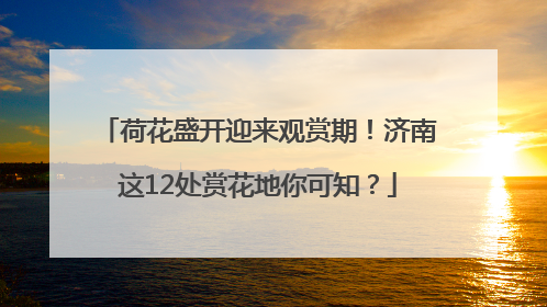 荷花盛开迎来观赏期！济南这12处赏花地你可知？