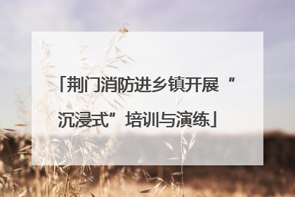 荆门消防进乡镇开展“沉浸式”培训与演练