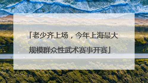老少齐上场，今年上海最大规模群众性武术赛事开赛
