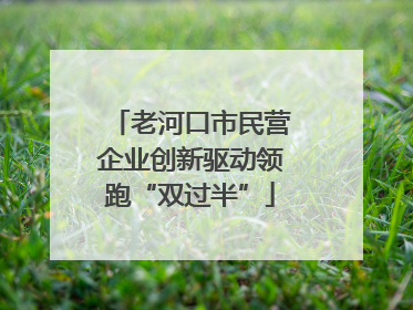 老河口市民营企业创新驱动领跑“双过半”