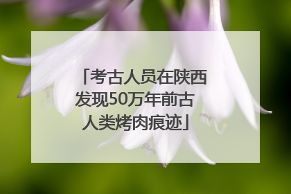 考古人员在陕西发现50万年前古人类烤肉痕迹