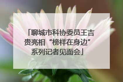 聊城市科协委员王吉贵亮相“榜样在身边”系列记者见面会