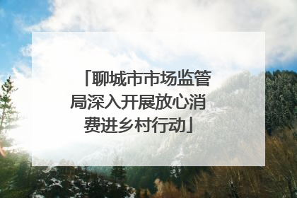 聊城市市场监管局深入开展放心消费进乡村行动
