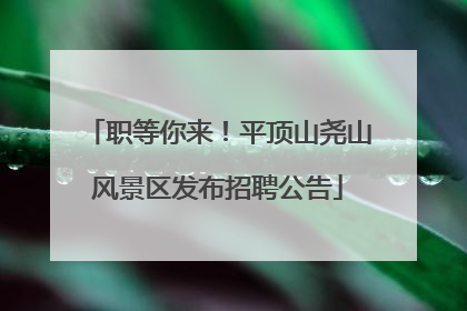 职等你来！平顶山尧山风景区发布招聘公告