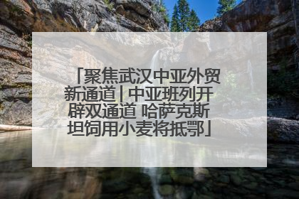 聚焦武汉中亚外贸新通道│中亚班列开辟双通道 哈萨克斯坦饲用小麦将抵鄂
