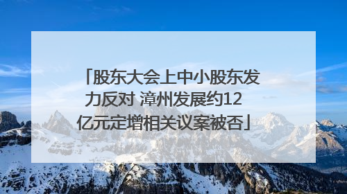 股东大会上中小股东发力反对 漳州发展约12亿元定增相关议案被否